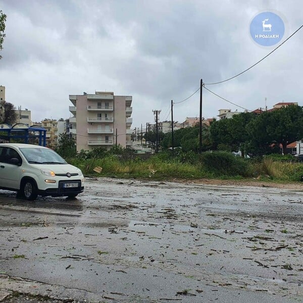 Ρόδος: Η στιγμή που ανεμοστρόβιλος ξεριζώνει δέντρο λόγω της σφοδρής κακοκαιρίας