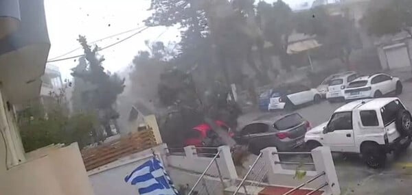 Ρόδος: Η στιγμή που ανεμοστρόβιλος ξεριζώνει δέντρο λόγω της σφοδρής κακοκαιρίας