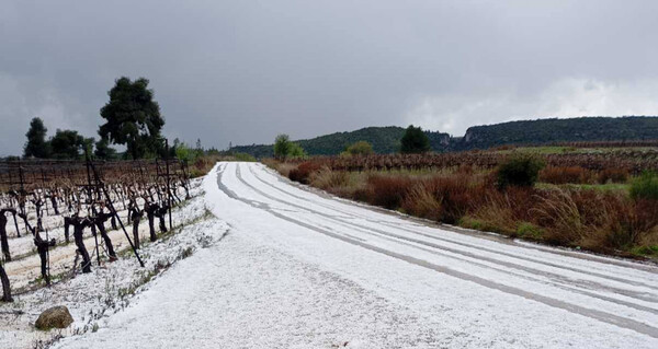 Κακοκαιρία: Πρωτοφανείς ισχυρή χαλαζόπτωση σε δεκάδες περιοχές της Κορίνθου