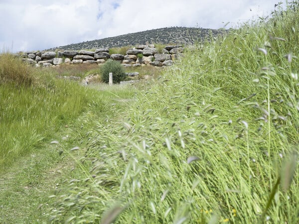 Αναθήματα προς τη θεά 'Ηρα