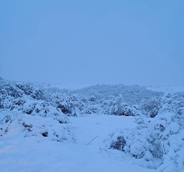 Meteo: «Βουτιά» του υδράργυρου με την ελάχιστη θερμοκρασία να αγγίζει τους - 7°C σήμερα