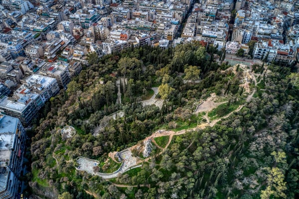 Το πράσινο της Αθήνας και τα πάθη του