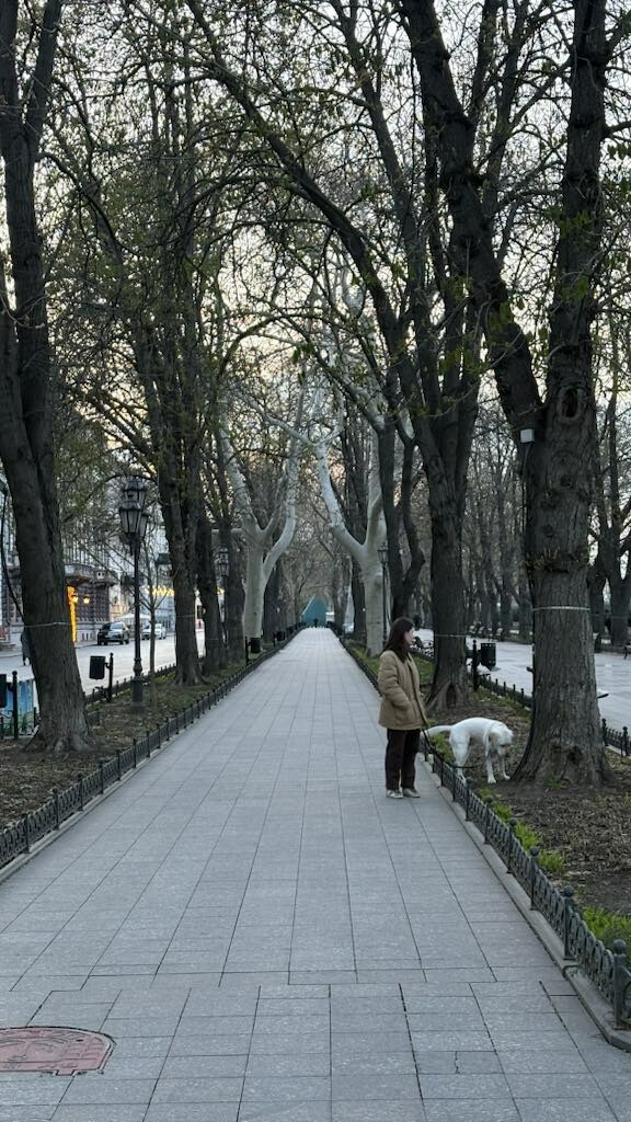 ΓΙΑ ΠΑΣΧΑ -------- Έλληνας χορεύει στην εθνική όπερα της Οδησσού και ζει μόνος στην Ουκρανία εν μέσω πολέμου