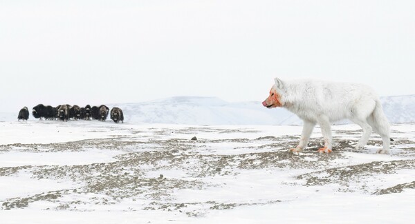 Sony World Photography Awards 2025: Οι κορυφαίες συμμετοχές του διαγωνισμού