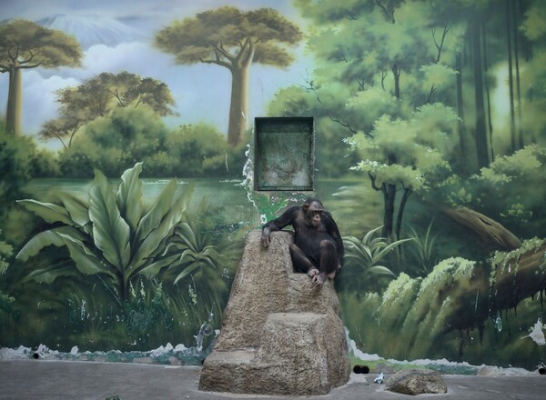 Sony World Photography Awards 2025: Οι κορυφαίες συμμετοχές του διαγωνισμού