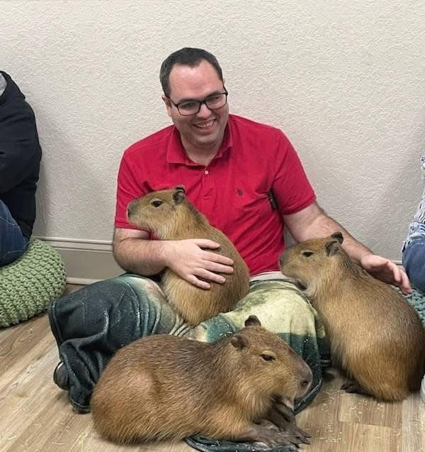 Capybara Cafe: Τα πιο viral τρωκτικά του διαδικτύου απέκτησαν το δικό τους «καφέ»