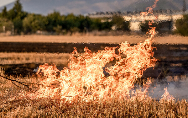 Καπνοί από πυρκαγιά απειλούν τον Βοτανικό - Μήνυμα από το 112