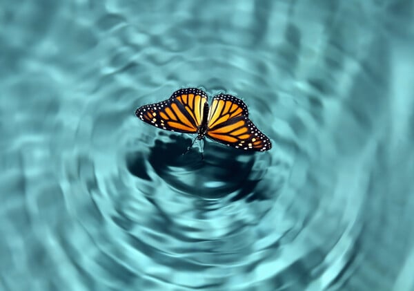 Τι είναι το Butterfly Effect και γιατί έχει γίνει viral στο TikTok