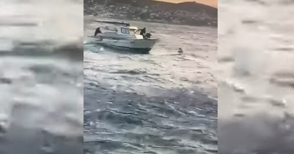 Αρτέμιδα: Έκαναν kite surf παρά την κακοκαιρία - Βίντεο από τη στιγμή της διάσωσης από το Λιμενικό