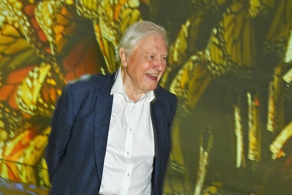Ο σερ Ντέιβιντ Ατένμπορο πιστεύει πως η νέα ταινία του θα μπορούσε να παίξει καθοριστικό ρόλο στην προστασία του πλανήτη