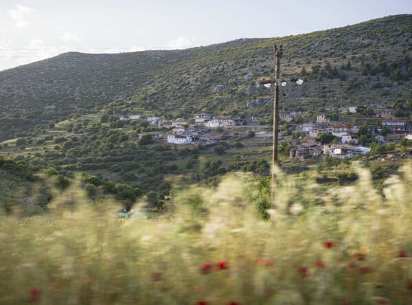 Παλαιά Μονή Ταλαντίου, Αραχναίο