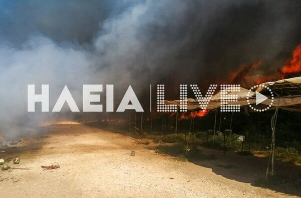 Φωτιά στη Μανωλάδα σε καταυλισμό εργατών γης