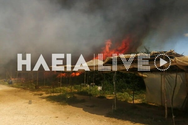Φωτιά στη Μανωλάδα σε καταυλισμό εργατών γης