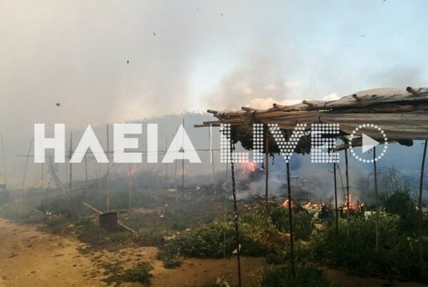 Φωτιά στη Μανωλάδα σε καταυλισμό εργατών γης