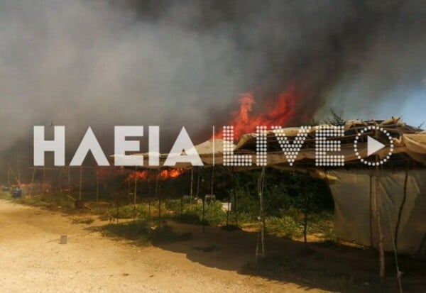 ΦΩΤΙΑ ΤΩΡΑ ΜΑΝΩΛΑΔΑ