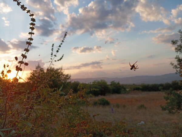 «Η εικόνα που κυκλοφορεί για τα χωριά ως απομονωμένες κοινότητες κάπου στην Άγρια Δύση δεν θα μπορούσε να απέχει περισσότερο από την πραγματικότητα».
