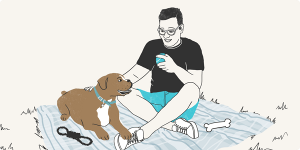 Pet sitters, dog walkers και κατ’ οίκον επισκέψεις: Η λύση που έχουν βρει πολλοί κηδεμόνες κατοικιδίων