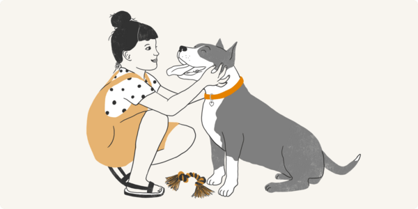 Pet sitters, dog walkers και κατ’ οίκον επισκέψεις: Η λύση που έχουν βρει πολλοί κηδεμόνες κατοικιδίων