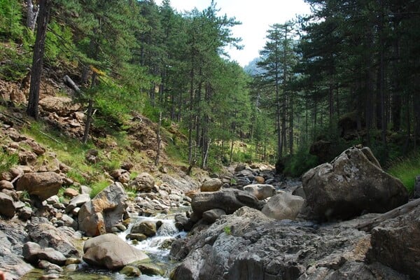 Η Ευρωπαϊκή Ημέρα του Δικτύου Natura 2000 μέσα από 5 φωτογραφίες