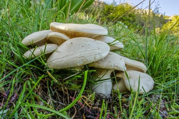 Η Ευρωπαϊκή Ημέρα του Δικτύου Natura 2000 μέσα από 5 φωτογραφίες
