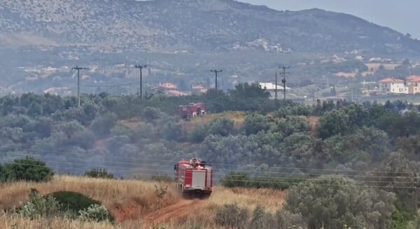 Μαρκόπουλο: Καλύτερη εικόνα από τη φωτιά - Συνεχίζεται η επιχείρηση κατάσβεσης