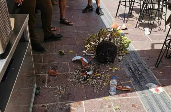 Χανιά: Στο νοσοκομείο τουρίστρια μετά από πτώση γλάστρας στο κεφάλι της λόγω ανέμων