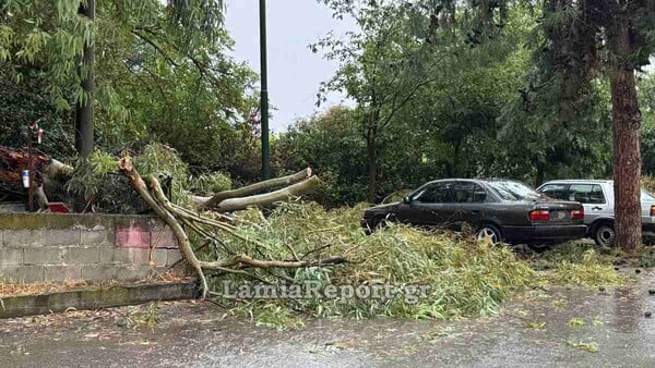 Μπουρίνι στη Λαμία: Πτώσεις δέντρων, πλημμυρισμένοι δρόμοι και πολύωρο μπλακάουτ
