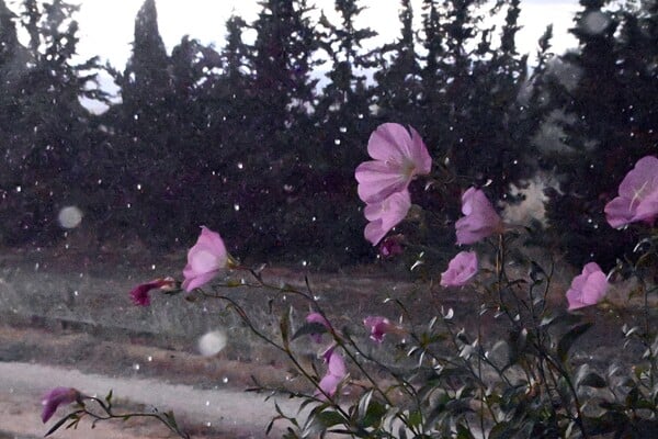 Καιρός: Χάρτες meteo για την αστάθεια - Πού αναμένονται βροχές και καταιγίδες σήμερα