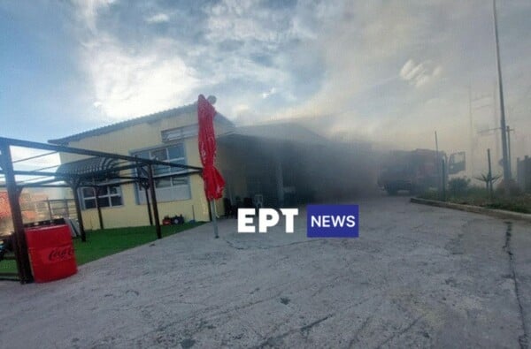 Φωτιά στη Λέσβο: Σούπερ μάρκετ τυλίχθηκε στις φλόγες - Νεκρή μια γυναίκα
