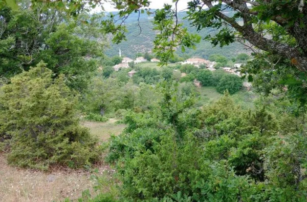 Ροδόπη: Πώς συνελήφθη ο Τούρκος κακοποιός που πυροβόλησε εναντίον στελεχών της ΕΥΠ - Τι υποστήριξε