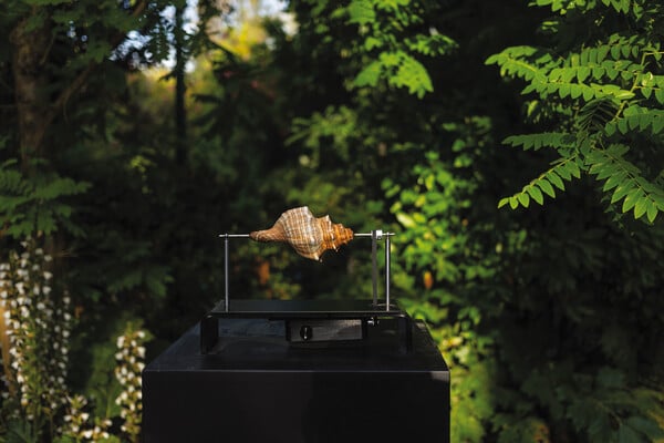 Αφροδίτη 5.