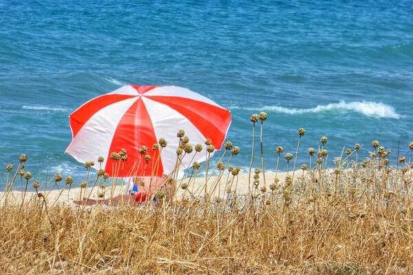 Καιρός: Στους 39°C ο υδράργυρος: Πότε και πού αναμένεται κύμα ζέστης