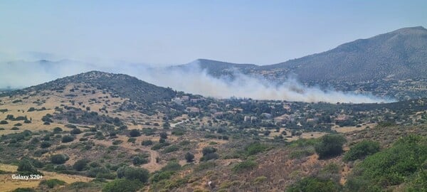 Φωτιά στην Ανάβυσσο: Ενισχύονται οι δυνάμεις - Πάνω από 100 πυροσβέστες στη μάχη