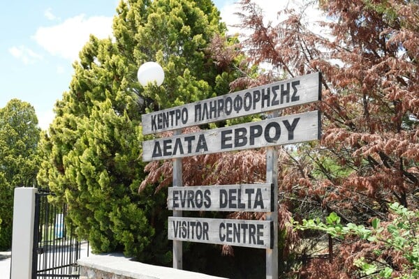 Εβροφάρμα: Ένα ταξίδι στην καρδιά της ελληνικής παραγωγής με τη Lidl Hellas