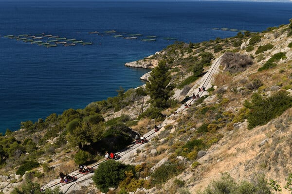 Railbiking, ζωγραφική αγαλμάτων και γιόγκα με κουτάβια: 3 δραστηριότητες να κάνεις τώρα στην Αθήνα