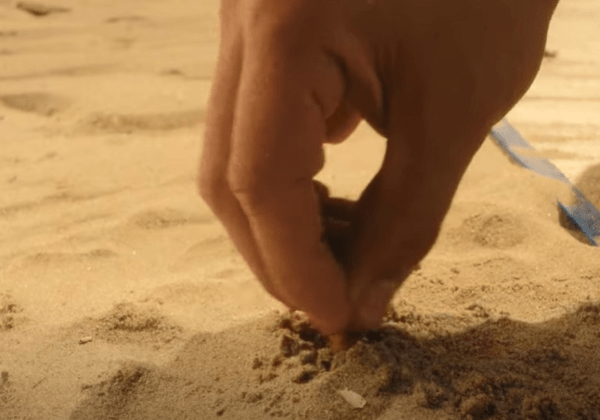 WWF Ελλάς: «ΚΑΠΟΥ ΓΟΠΑ» = Καμπάνια για την πλαστική ρύπανση από αποτσίγαρα στις παραλίες