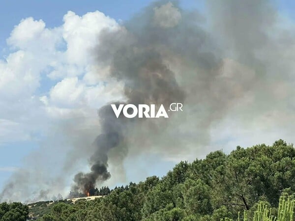 Θεσσαλονίκη: Φωτιά πίσω από το νοσοκομείο «Παπαγεωργίου» – Μαίνεται κοντά σε σπίτια