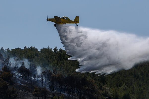 Φωτιά στη Χωριστή Δράμας: Καίγεται χαμηλή βλάστηση
