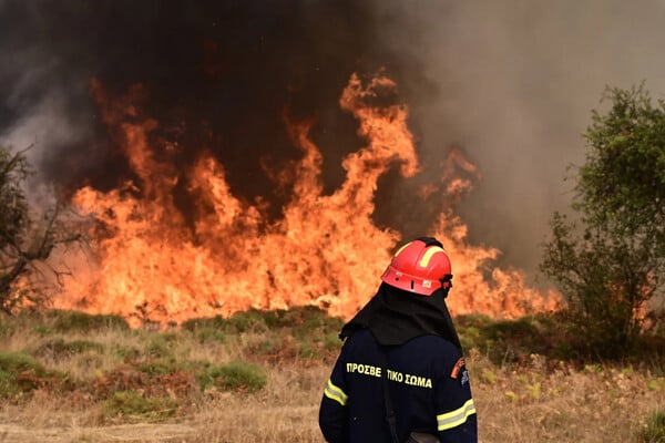 Πυροσβεστική: 46 φωτιές σε δασικές και αγροτικές περιοχές καταγράφηκαν το τελευταίο 24ωρο