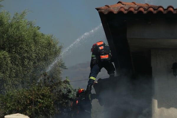 Φωτιά στην Παλαιά Φώκαια: Στις φλόγες σπίτια στο Θυμάρι - Απεγκλωβίστηκαν δεκάδες κάτοικοι