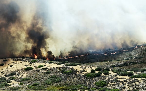 Φωτιά στην Παλαιά Φώκαια: Στις φλόγες σπίτια στο Θυμάρι - Απεγκλωβίστηκαν δεκάδες κάτοικοι