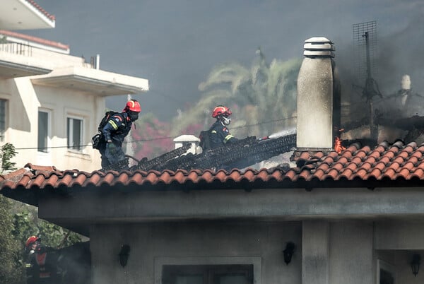 Φωτιά στην Παλαιά Φώκαια: Μάχη «για να μην πάει στον εθνικό δρυμό» - Πάνω από 20 εναέρια μέσα