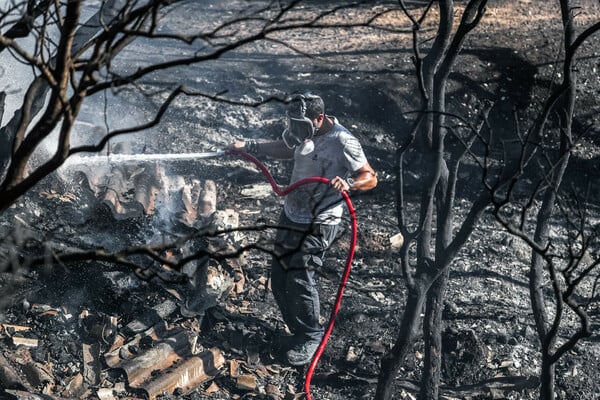 Φωτιά στην Παλαιά Φώκαια: Μάχη «για να μην πάει στον εθνικό δρυμό» - Πάνω από 20 εναέρια μέσα