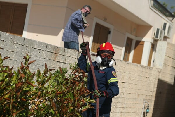 Φωτιά στην Παλαιά Φώκαια: Στις φλόγες σπίτια στο Θυμάρι - Απεγκλωβίστηκαν δεκάδες κάτοικοι