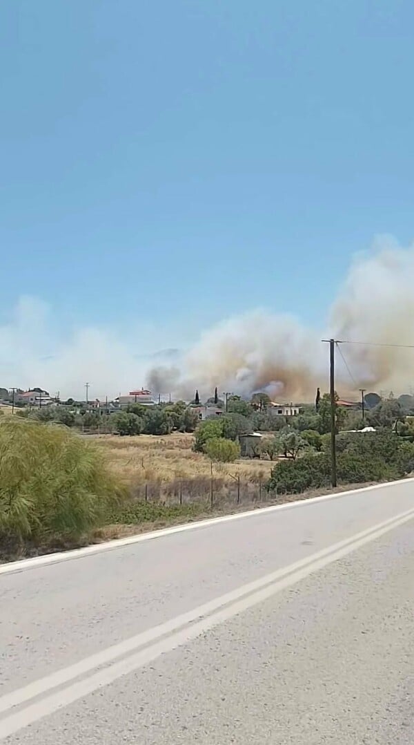 Φωτιά στην Παλαιά Φώκαια: Νέο 112 - «Απομακρυνθείτε προς Λαύριο»