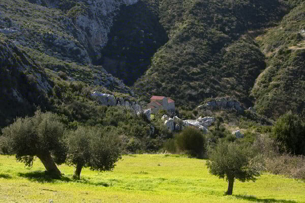 «Μπορεί να μην είναι ρόδινα τα πράγματα στην επαρχία, αλλά και πού είναι;»