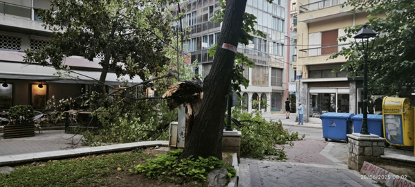 Κακοκαιρία στον Βόλο: Ανεμοθύελλα ξερίζωσε δέντρα και προκάλεσε ζημιές