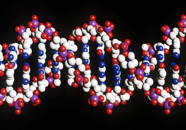 AlphaGenome: Η τεχνητή νοημοσύνη της Google «διαβάζει» τις μεταλλάξεις του DNA