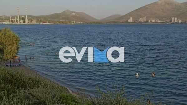 Εύβοια: «Παρασύρθηκα κι εγώ από τα ρεύματα» λέει ο αστυνομικός που έσωσε μάνα και κόρη