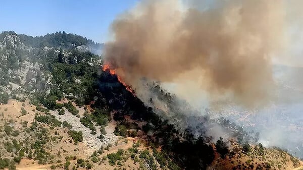 Καταστροφικές φωτιές στην Τουρκία – Πάνω από 50.000 πολίτες απομακρύνθηκαν σε Σμύρνη, Μανίσα και Χατάι